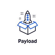 Icon_Payload (1)